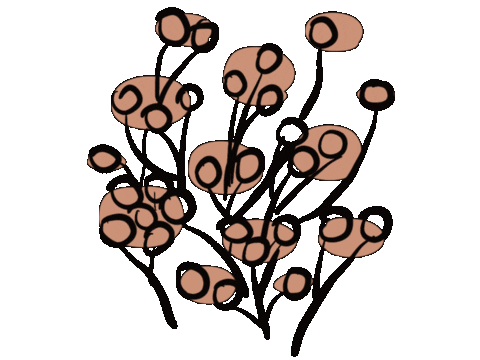 Pink Flower Sticker