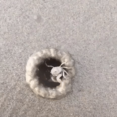 satisfying GIF