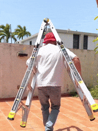 Sexy Fashion GIF by Julio Janpierre