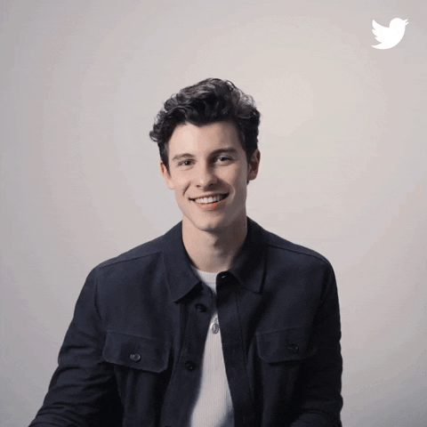 Shawn Mendes Thumbs Up GIF by Twitter