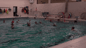 Game Goal GIF by Wasserballklub Thun