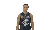 Sport Thumbs Up Sticker by Carlton Football Club