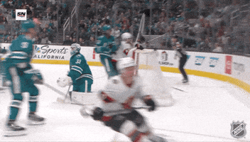 Happy Ottawa Senators GIF by NHL
