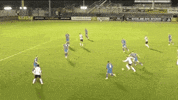 officialdafc  GIF