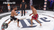 GIF by Bellator