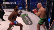 GIF by Bellator