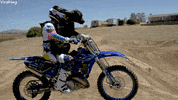 Dog Motorcycle GIF by ViralHog