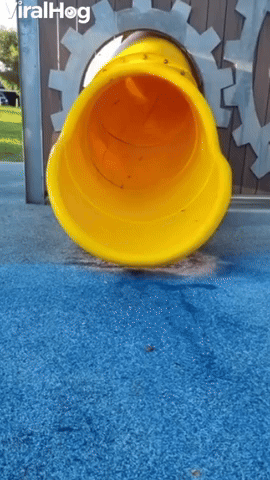 Siblings Have Different Methods Going Down Slide