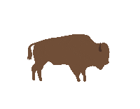 National Parks Bison Sticker by National Park Foundation