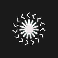 GIF by Borrachas