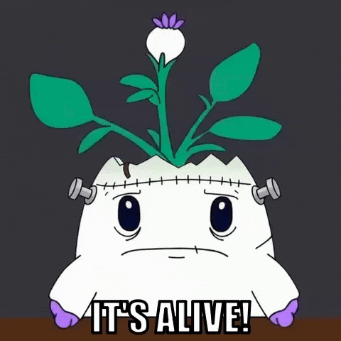 Trick Or Treat Halloween GIF by Magic Eden