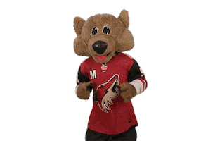 Howling Ice Hockey Sticker by NHL
