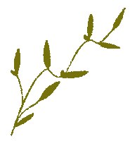 Loop Blooming Sticker