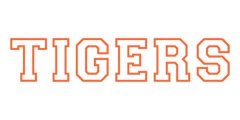 SuffieldAcademyTigers giphyupload tigers gotigers suffield Sticker