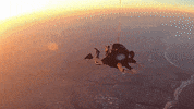 skydiveaus jump fly adventure flying GIF