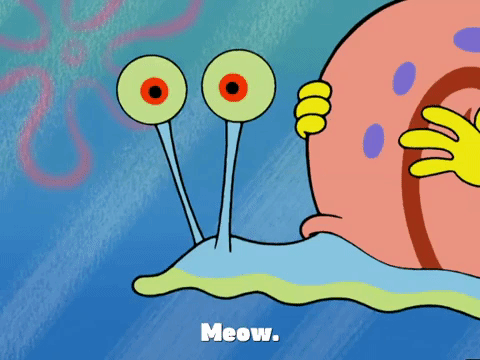 season 4 episode 13 GIF by SpongeBob SquarePants