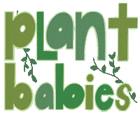 Plant Grow Sticker