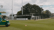 Happy Big Bash League GIF by Brisbane Heat