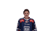 Celebration Goal GIF by Fehervar AV19