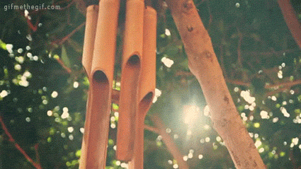 wind GIF