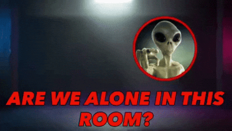 TheGifsGuy giphycreatortest GIF