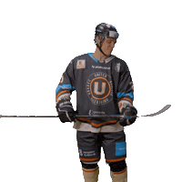 Uhk Kochan Sticker by UNIted HK