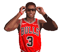 Shaq Harrison Sticker by Chicago Bulls