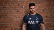 Think Big Brain GIF by Rogue