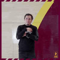 CavsLegionGC cavs legion cavslegion cavs legion gc cavslegiongc GIF