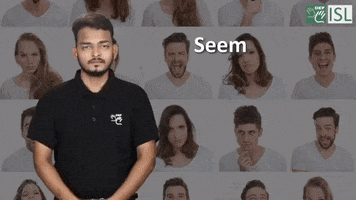 Seem Sign Language GIF by ISL Connect