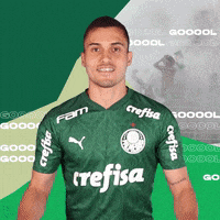 Puma Libertadores GIF by SE Palmeiras