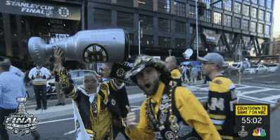 ice hockey sport GIF by NHL
