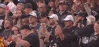 Kansas City Chiefs Football GIF by NFL