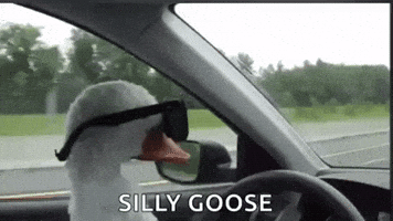 Happy Goose GIF