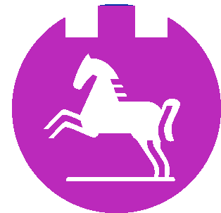 logo sponsoring Sticker by Öffentliche Versicherung Braunschweig