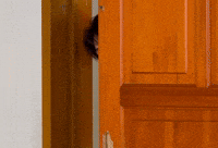 준 Going Seventeen GIF