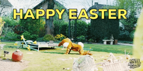 easter bunny GIF by funk