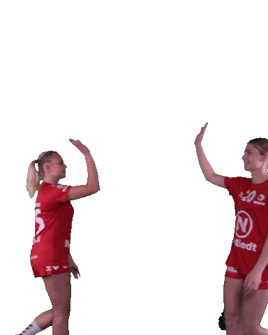 Wilhelmshaven Whv Sticker by whvhandball