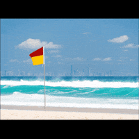 Dream Home GIF by Dream Home Art Union