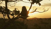 Baboon Bakari GIF by Discovery