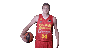 Liga Endesa Basketball Sticker by ACB