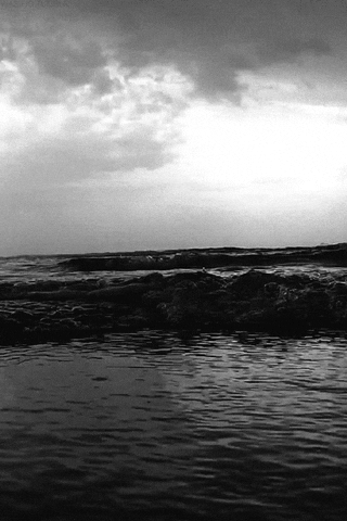 sea GIF