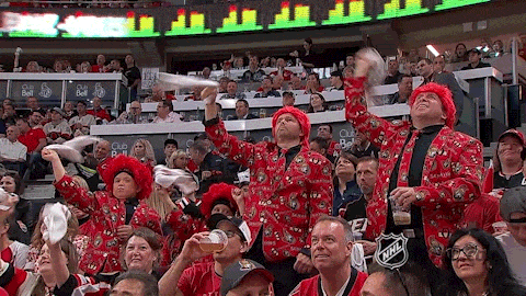 ottawa senators nhl fans GIF by NHL