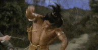 martial arts GIF by Shaw Brothers