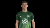 Bundesliga Hello GIF by VfL Wolfsburg