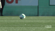 werder werderbremen GIF