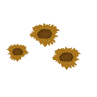 Summer Flower Sticker