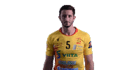 Handball Celebrating Sticker by RiihimäenCocks