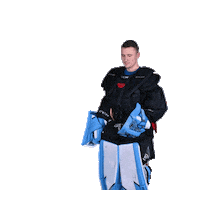 Sport Goal Sticker by IceFightersLeipzig