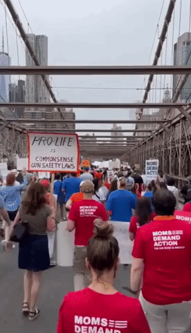 Gun Reform Demonstrators March Over Bridge